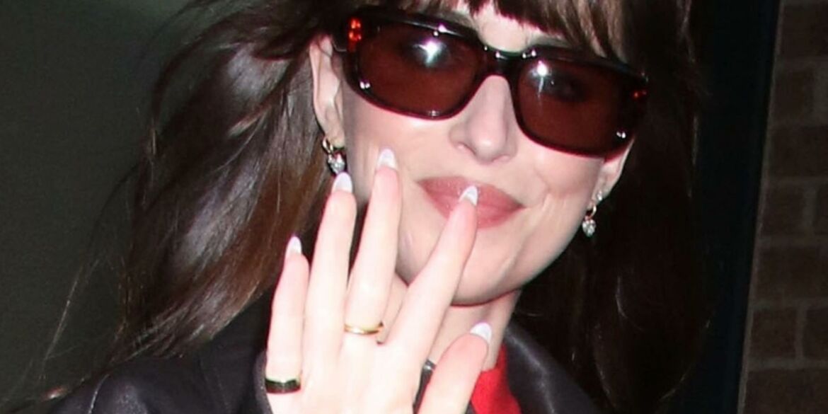 Dakota Johnson madingiausias 2024 m. sezono spalvas derino su 70-ųjų stiliumi