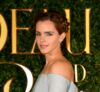 Emma Watson pagaliau atsakė