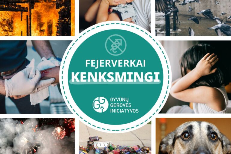 Kodėl reikia atsisakyti „pramogų” su fejerverkais?