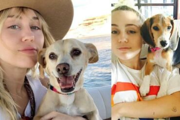 Miley Cyrus kritikuojama dėl to