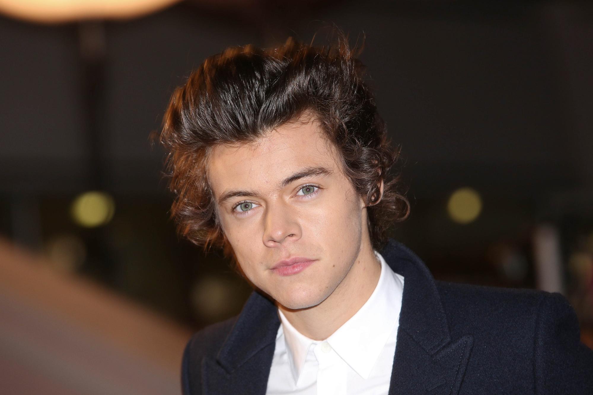 Moksliukas: Harry Styles studijuos neįprastą dalyką