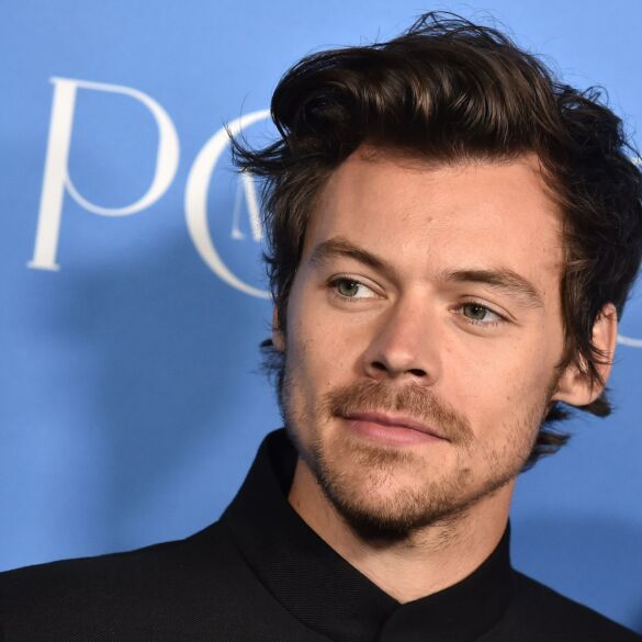 Nauja karšta porelė? Atlikėjas Harry Styles pastebėtas viešumoje bučiuojantis žinomą manekenę