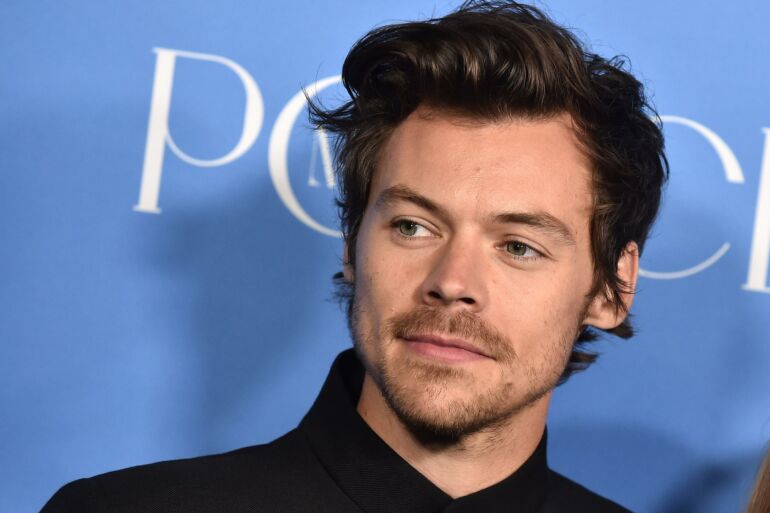 Nauja karšta porelė? Atlikėjas Harry Styles pastebėtas viešumoje bučiuojantis žinomą manekenę