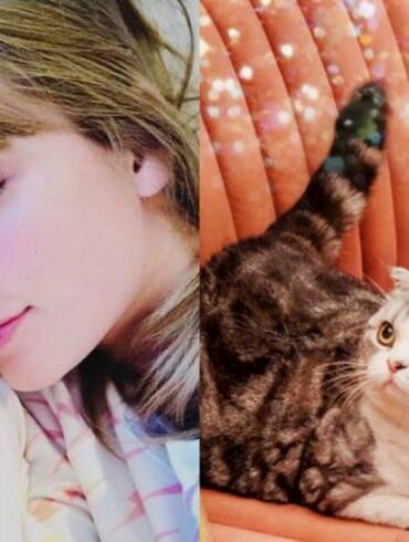 Neįtikėtina meilė katėms: 3 atlikėjos Taylor Swift katės gyvena geresnį gyvenimą nei daugelis žmonių