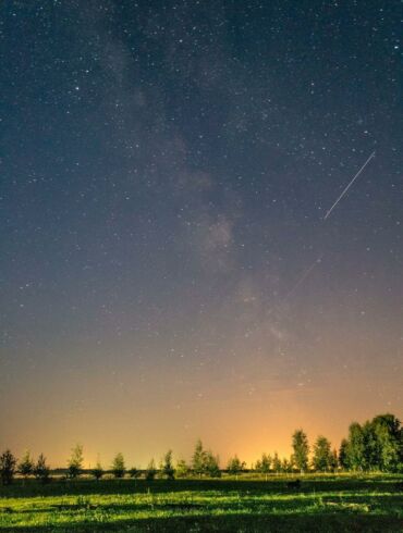 Nutolęs giliai į gamtą jonaviškis išvydo stebuklą(FOTO)