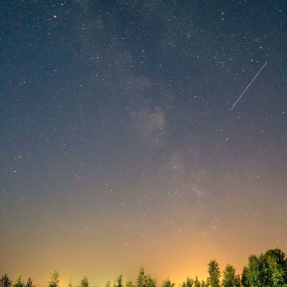 Nutolęs giliai į gamtą jonaviškis išvydo stebuklą(FOTO)