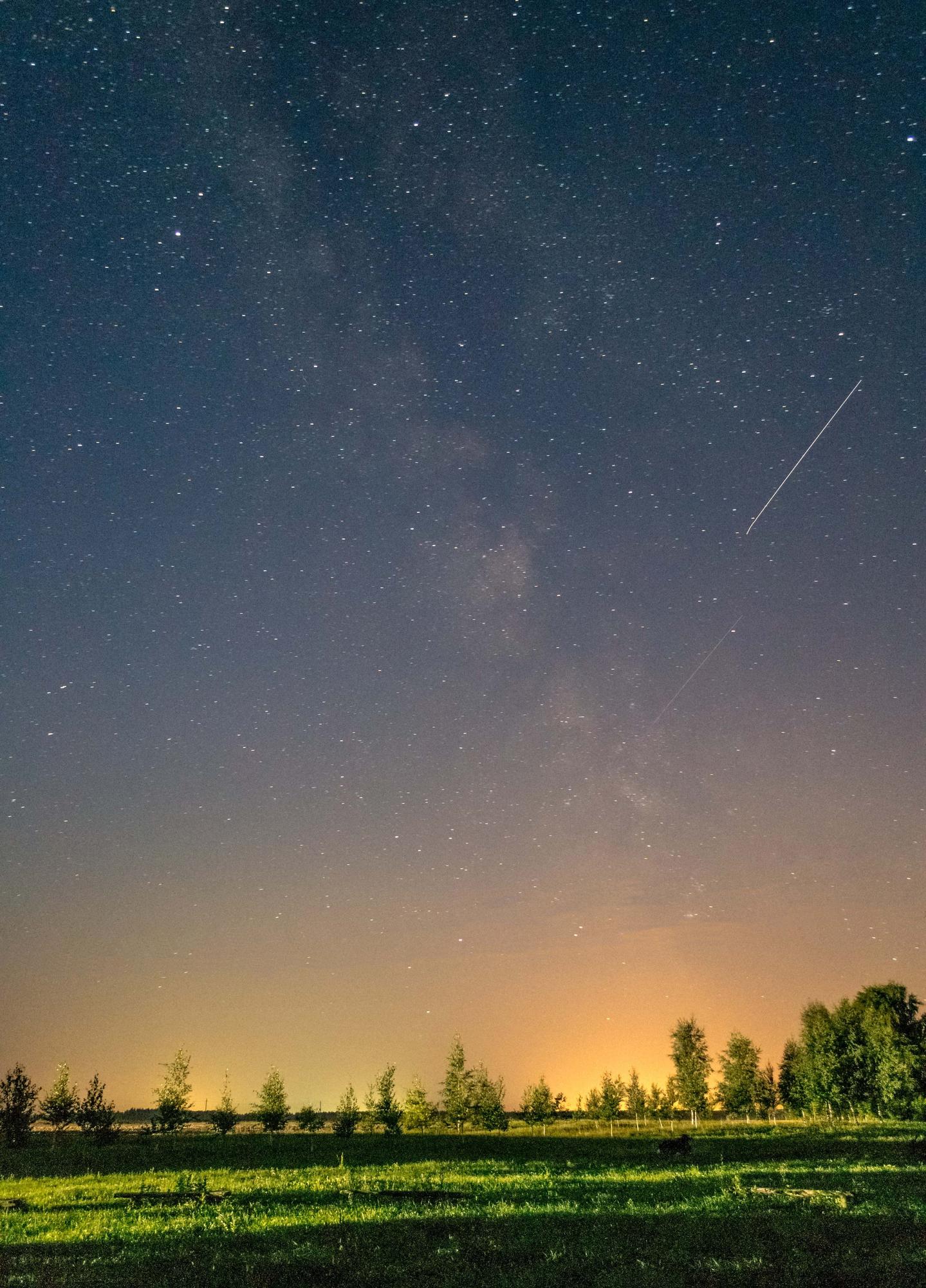 Nutolęs giliai į gamtą jonaviškis išvydo stebuklą(FOTO)