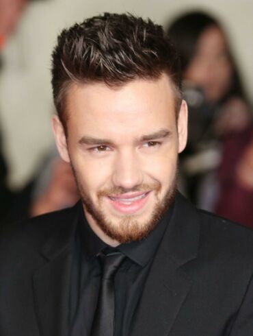 „One Direction“ nario Liamo Payno nuotrauka muša populiarumo rekordus (FOTO)