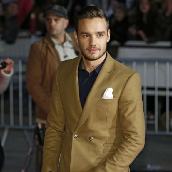 „One Direction“ narys Liam Payne dėl nuotraukos rizikavo savo gyvybe(FOTO)