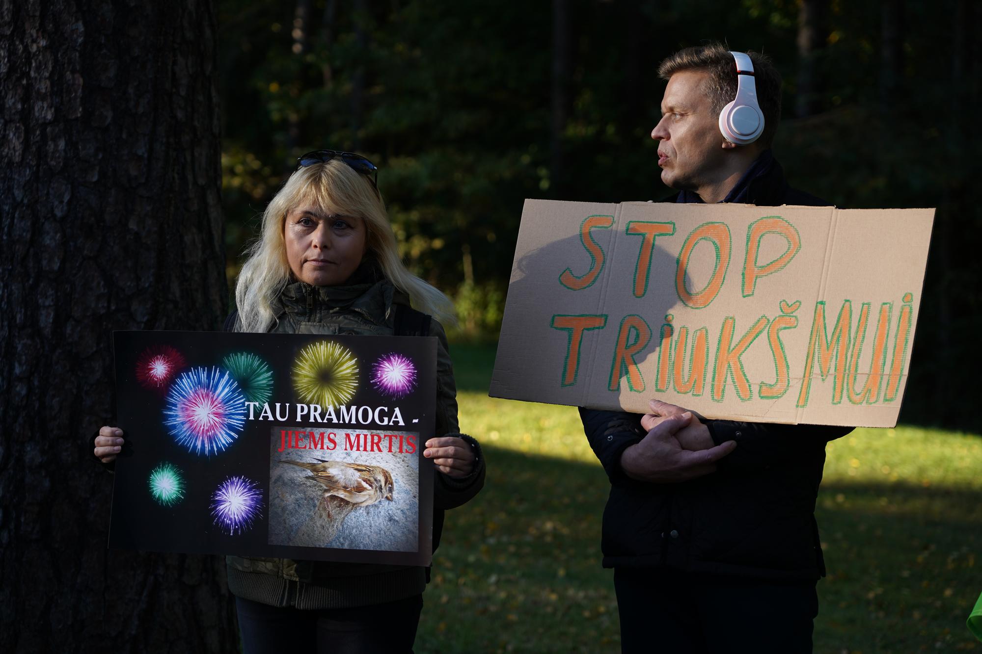 Prie Vingio parko vykusiame proteste skambėjo raginimai riboti fejerverkus