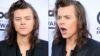 Sensacija: Harry Styles turi dvynę?! (FOTO)