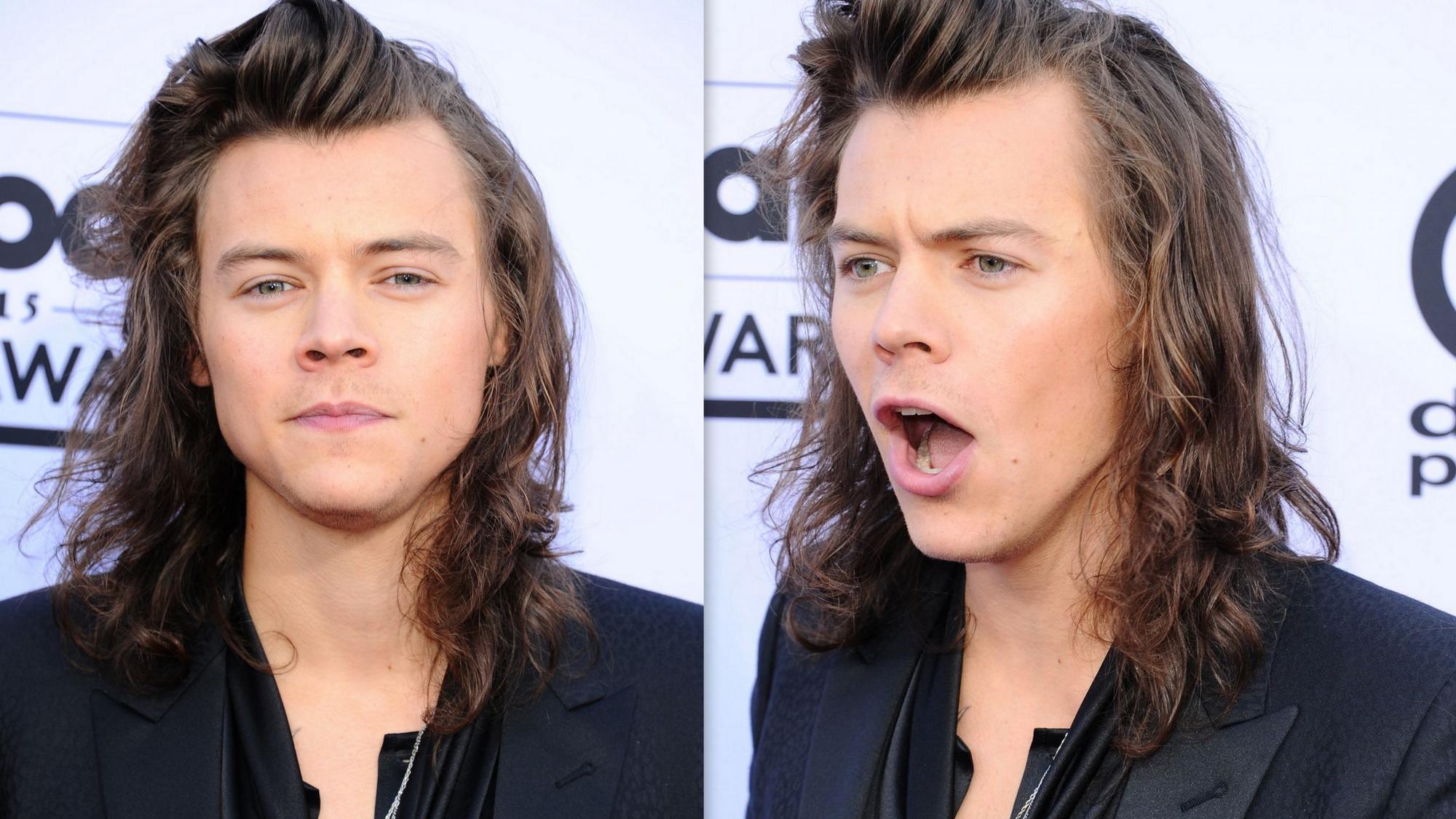 Sensacija: Harry Styles turi dvynę?! (FOTO)