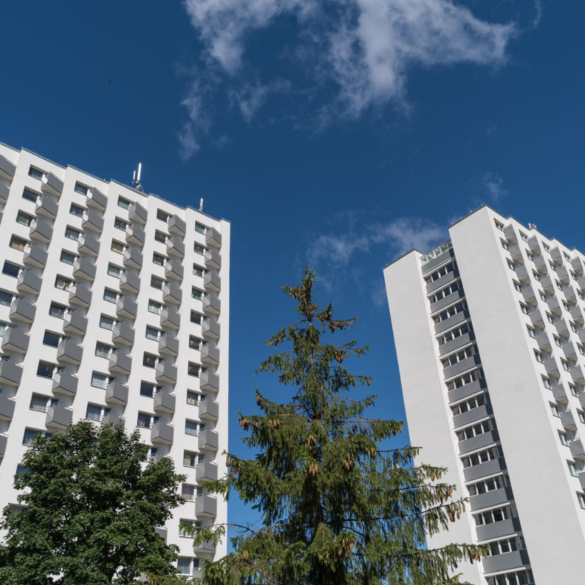 bendrabučio taisyklės