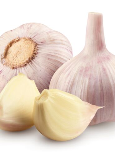 Česnakas / Shutterstock