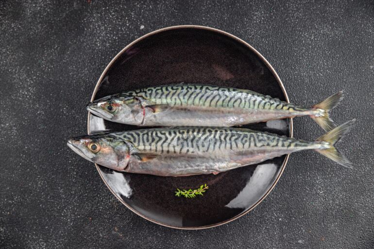 Skumbrės