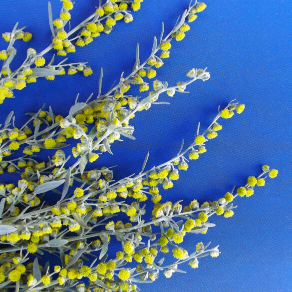 Pelynas