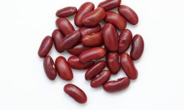 pupelės
