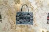 dior rankinė book tote