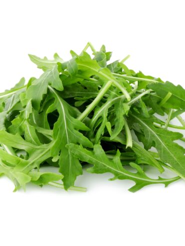 Rukola
