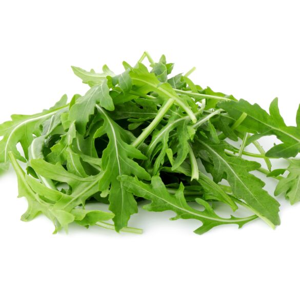 Rukola