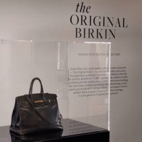 jane birkin hermes rankinė