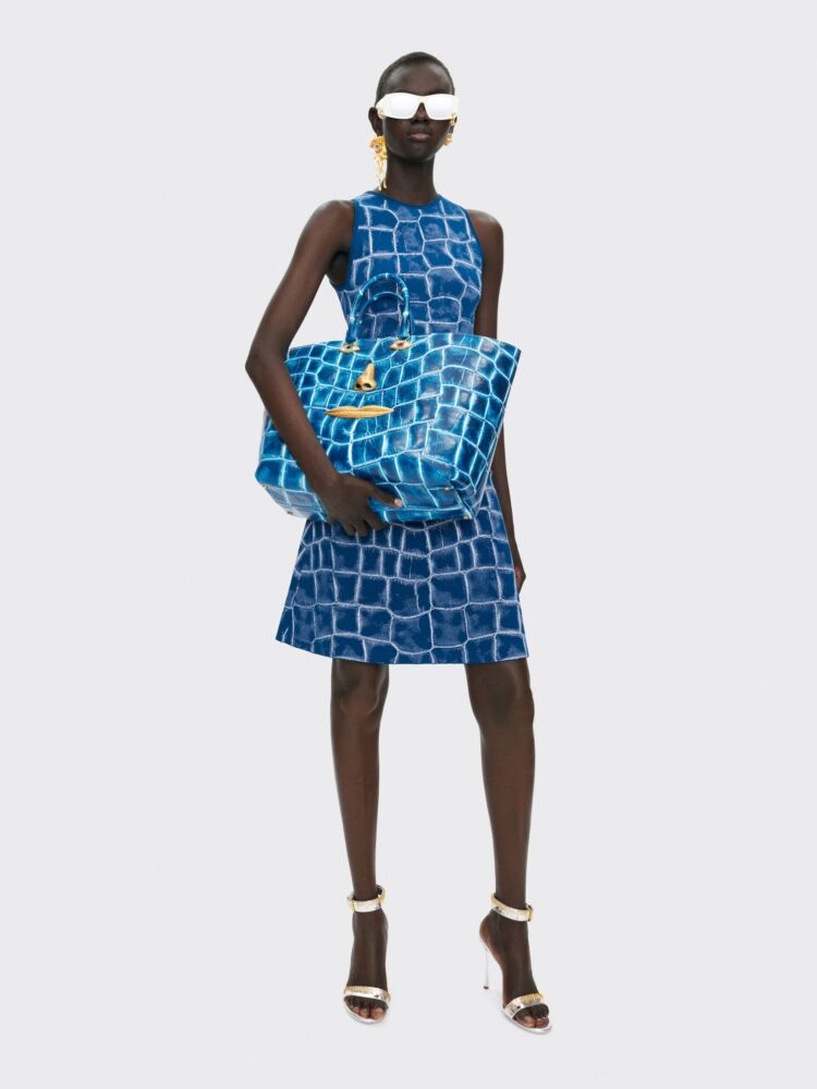 "Schiaparelli" modelis