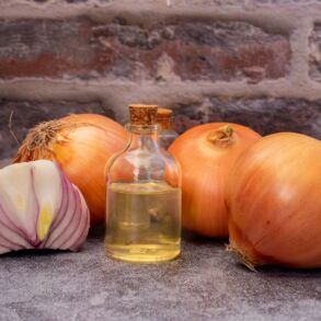 Svogūnų sultys / Shutterstock