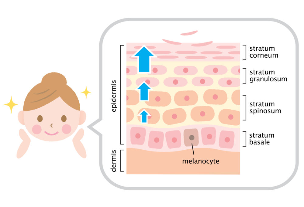 Skin cycling