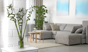 Fengshui