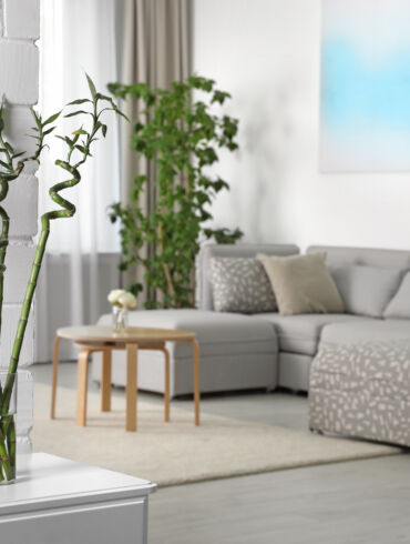 Fengshui