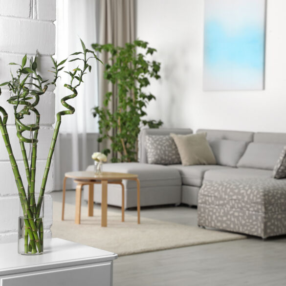 Fengshui