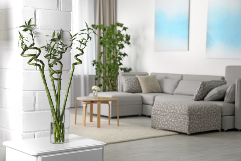 Fengshui