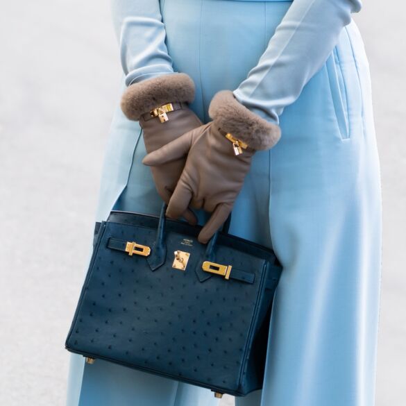 hermes birkin rankinė