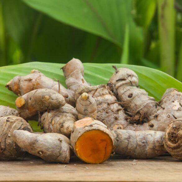 Ciberžolė / Shutterstock