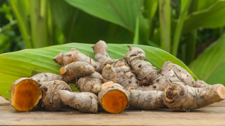 Ciberžolė / Shutterstock