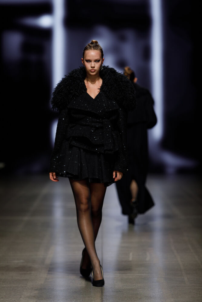 Kęsto Rimdžiaus modelis