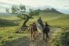 King of the Seven Komgdoms / HBO