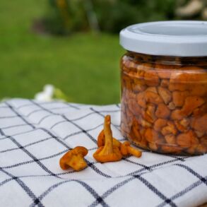 Voveraitės žiemai / Shutterstock