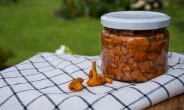 Voveraitės žiemai / Shutterstock